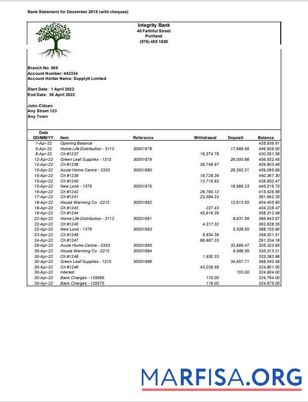 Downloadable USA Integrity bank statement word real example